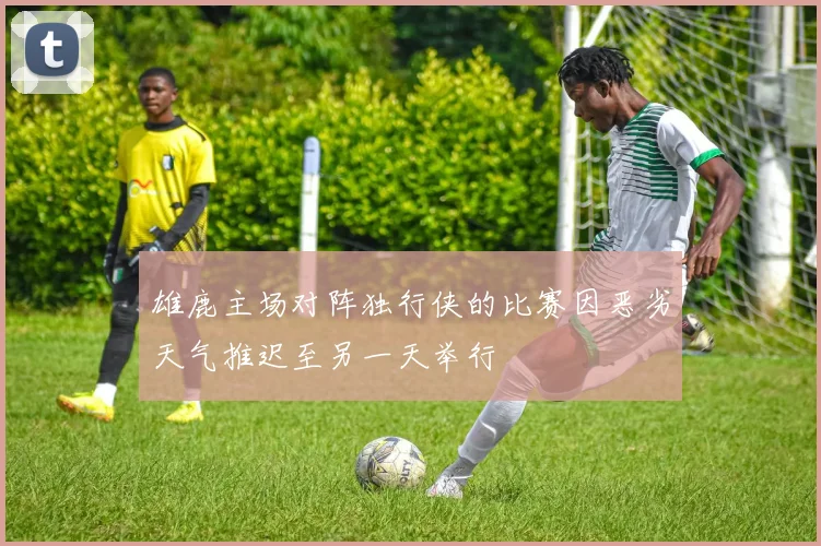 雄鹿主场对阵独行侠的比赛因恶劣天气推迟至另一天举行