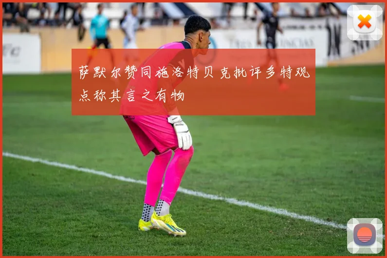 萨默尔赞同施洛特贝克批评多特观点称其言之有物