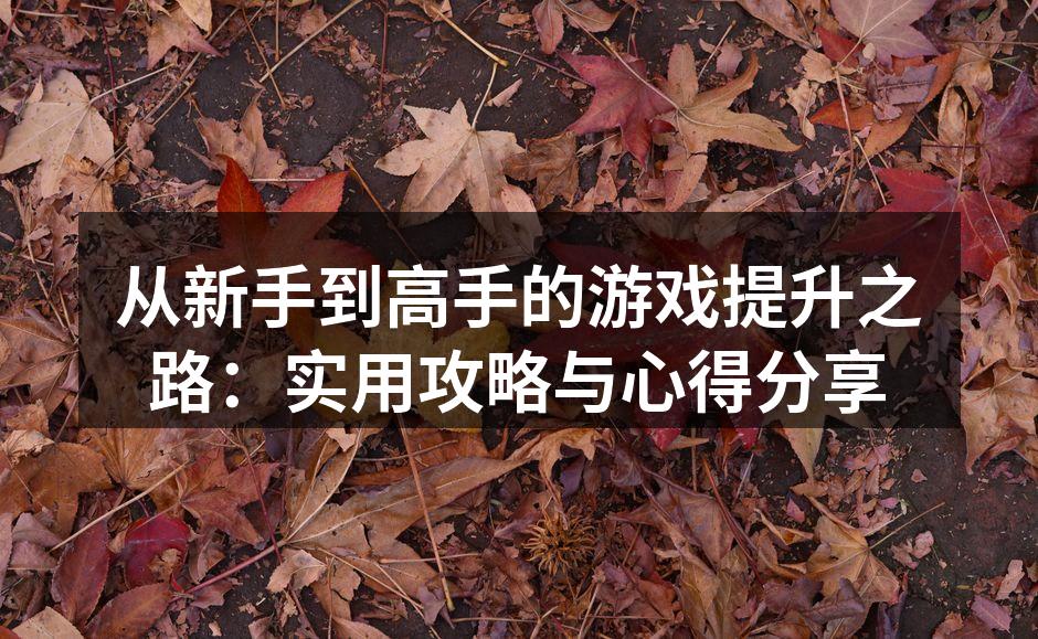 从新手到高手的游戏提升之路:实用攻略与心