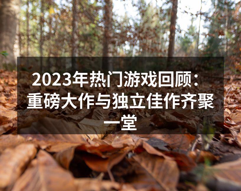2023年热门游戏回顾:重磅大作与独立佳