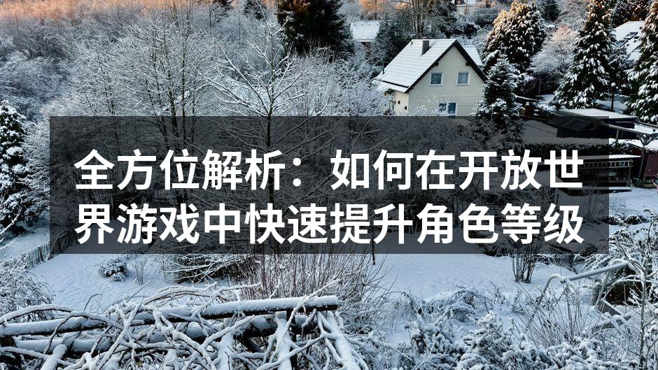 全方位解析:如何在开放世界游戏中快速提升